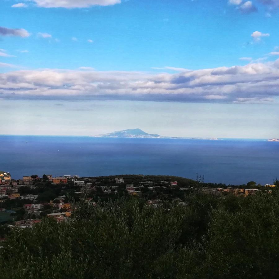 La Mandra, Cottage Tra Gli Ulivi Вико-Экуенсе Экстерьер фото